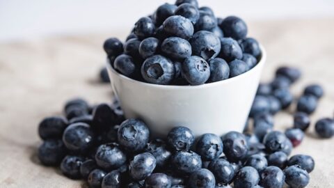 Blueberry Health Benefits