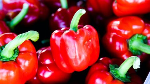 Pepper Health Benefits