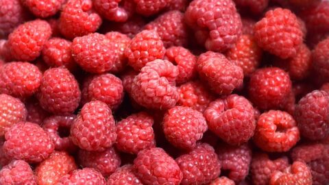 Raspberry health benefits