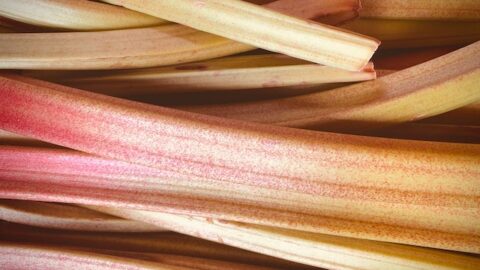 Rhubarb Health Benefits