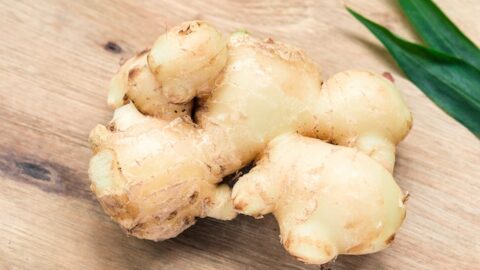 Ginger Health Benefits