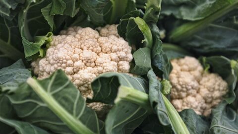 Cauliflower Health Benefits