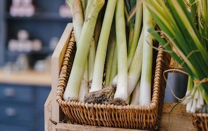 Leek health benefits